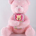bear_sm