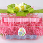 Strawberry-Container