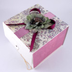 Anthropologie-Box-1
