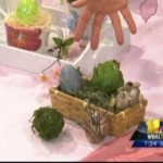 Easter Crafts and Decorations