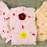 Seeded-paper-new1