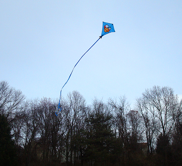 kite-2