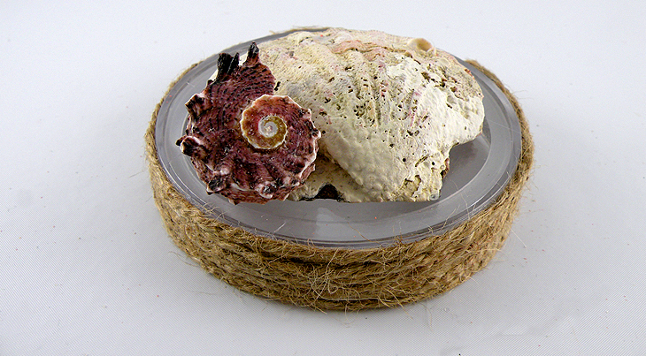 Mason Jar Lid decorated with twine and sea shells