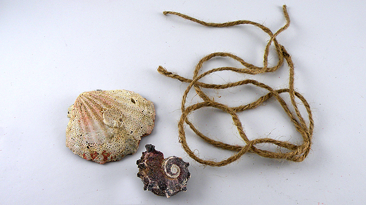 Shell and twine