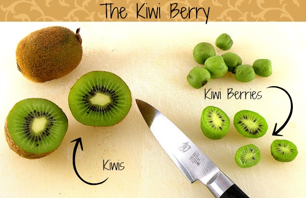 Kiwi Berries