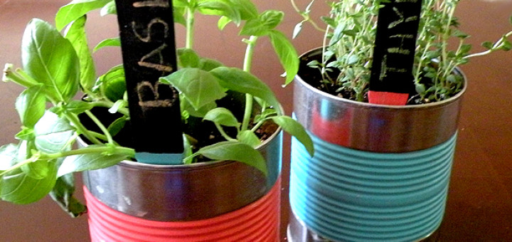 indoor herb garden