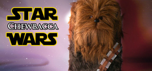 DIY Chewbacca