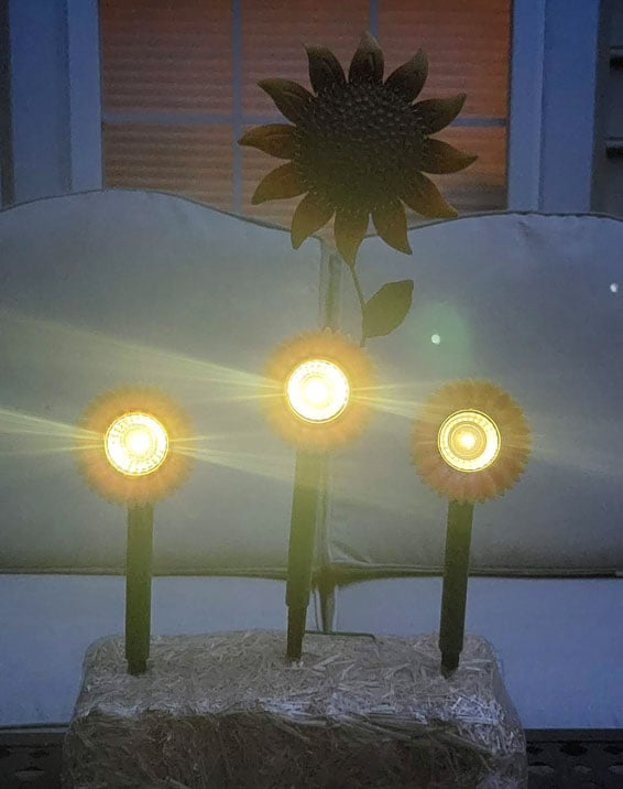 Dollar Tree sunflower solar lights glowing at night in a garden display